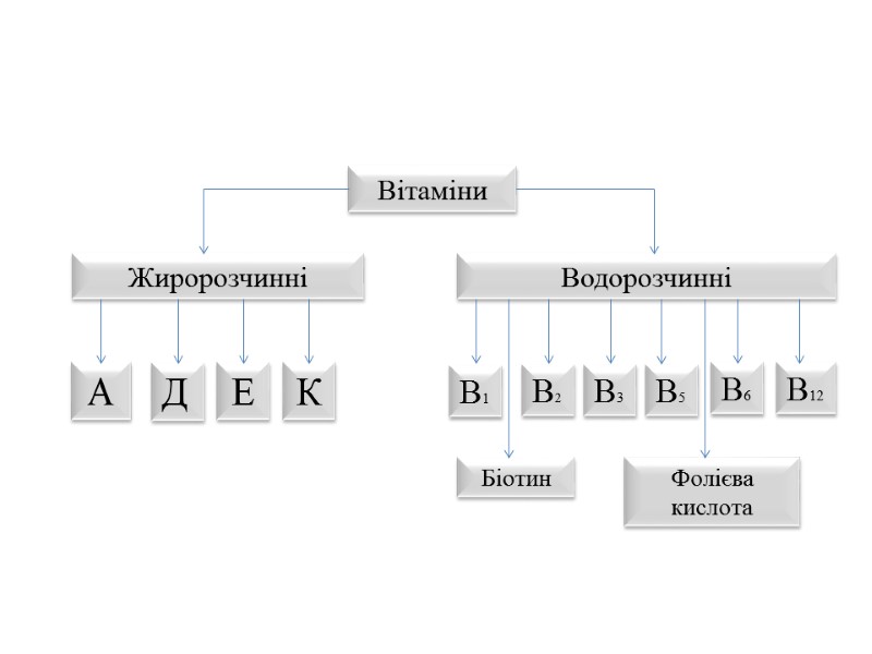 Вітаміни  Жиророзчинні  Водорозчинні  А Д Е К В1 В2 Біотин 